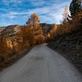 1810_1699.jpg