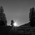 1810_1729.jpg