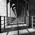 1806_0312.jpg