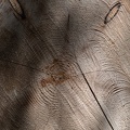 1804_0191.jpg