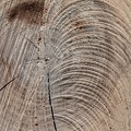 1804_0133.jpg