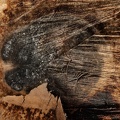 1804_0172.jpg