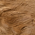 1804_0096.jpg