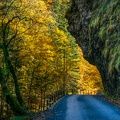 1710_1759.jpg