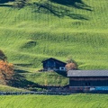 1710_1784.jpg