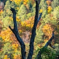 1710_1795.jpg