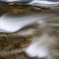 1901_1796.jpg