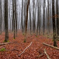 1901_1809.jpg