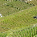 1605_6922.jpg