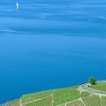 1605_6925.jpg