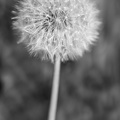 1605_6913.jpg