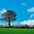 1604_6873.jpg