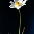 1906_4075.jpg