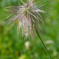 1907_4116.jpg