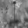 1907_0070.jpg