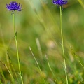 1907_0073.jpg