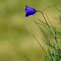 1907_4762.jpg