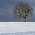 1312_1893.jpg