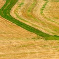 1208_0237.jpg
