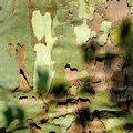1404_7613.jpg