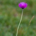 2007_1007.jpg