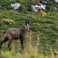 2009_8061.jpg