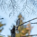 2009_8125.jpg