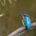 2010_8559.jpg