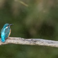2010_8639.jpg