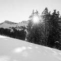 2101_8859_Dent-de-Lys.jpg
