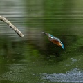 2107_0109.jpg