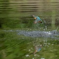 2107_0114.jpg