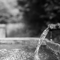 2107_1731.jpg