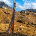2110_2510_Derborance.jpg
