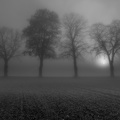 2111_2233_Bionnens.jpg
