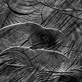 2203_2963.jpg