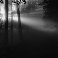 2209_6629_Goumois.jpg