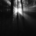 2209_6639_Goumois.jpg