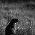 2308_2425.jpg