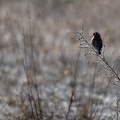2401_2373.jpg