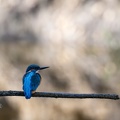2403_6342.jpg