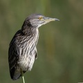 2407_9913.jpg