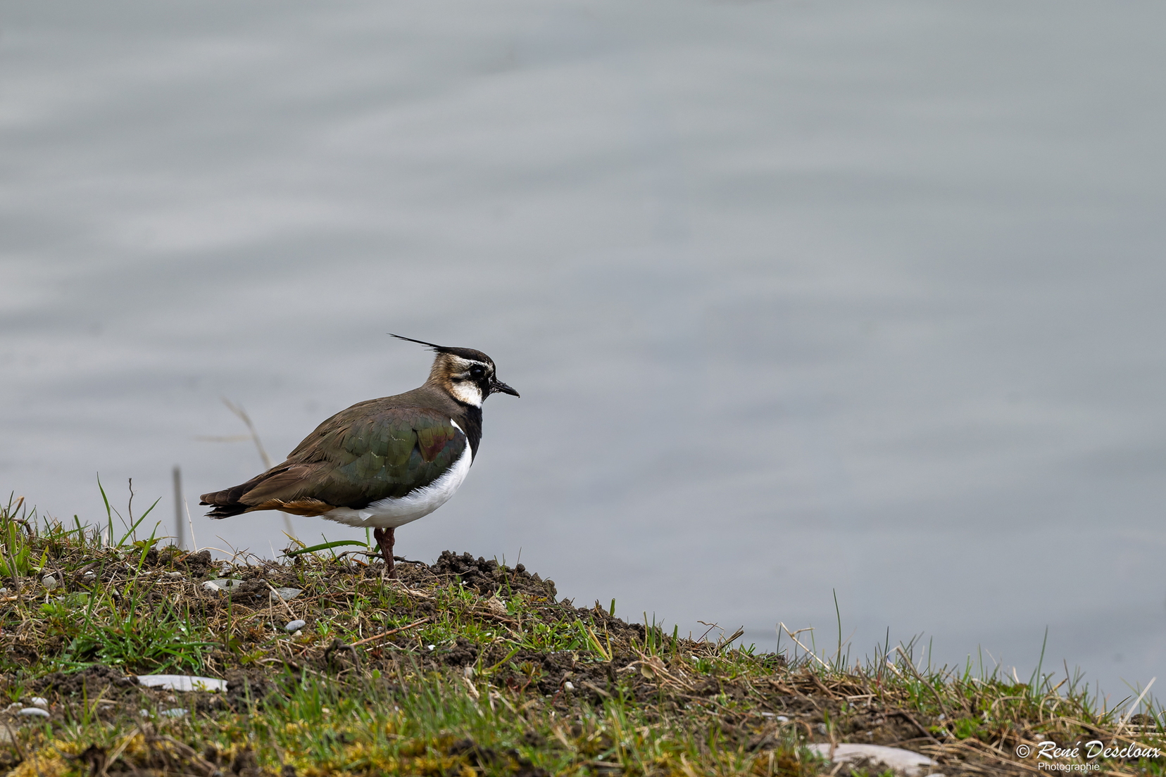 2603 7828 (22 visites) 2603 7828