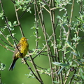 2606_6155.jpg