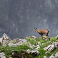 2606_6520.jpg