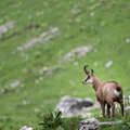 2606_6605.jpg