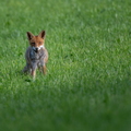 2606_7463.jpg