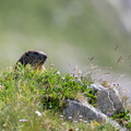 2607_8425.jpg