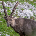 2607_8380.jpg