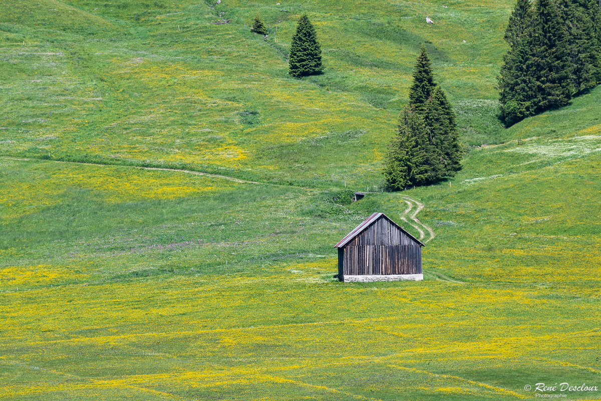 1906 4059_Gros-Mont